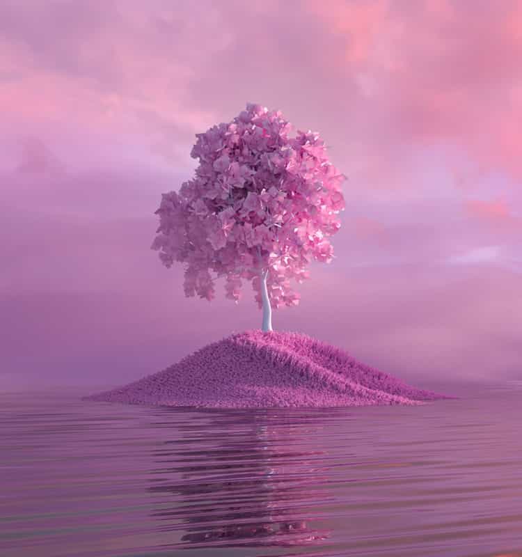 750x800-1