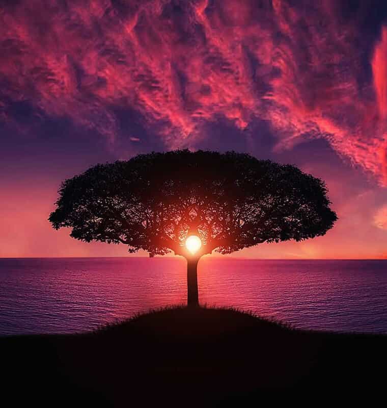 760x800x1-1