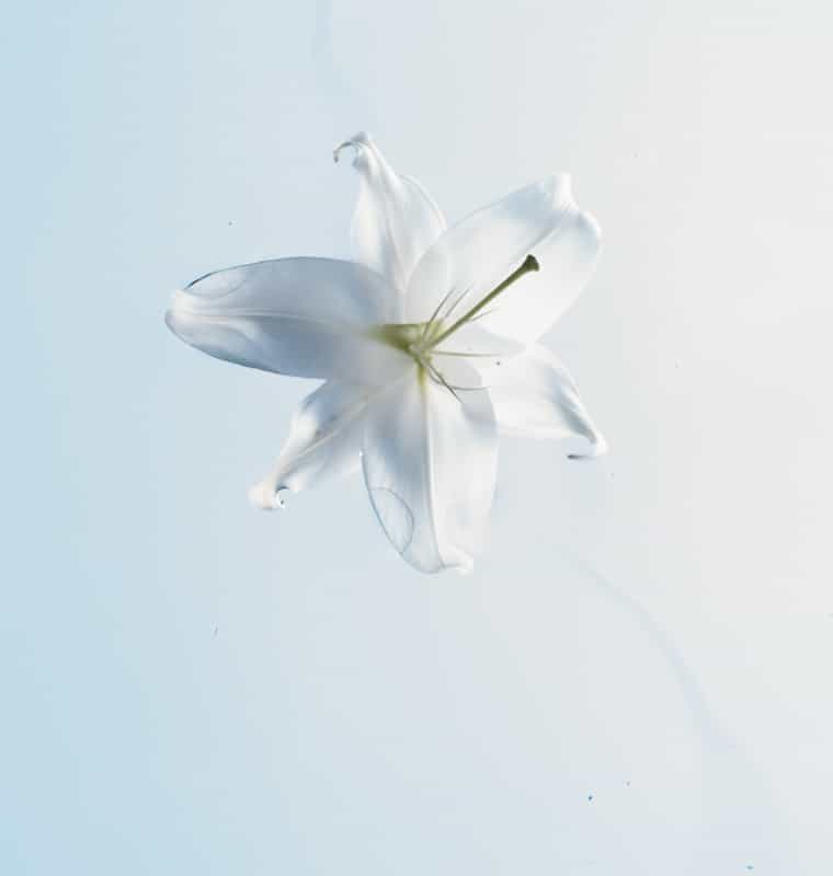 760x800x4-2