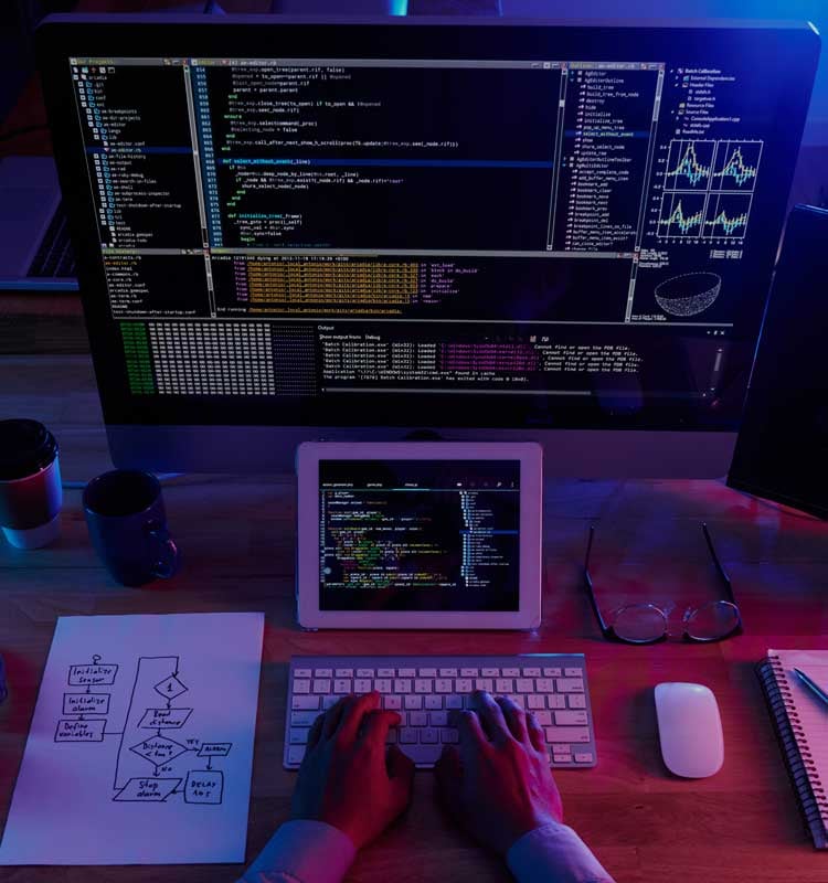 programming-750x800