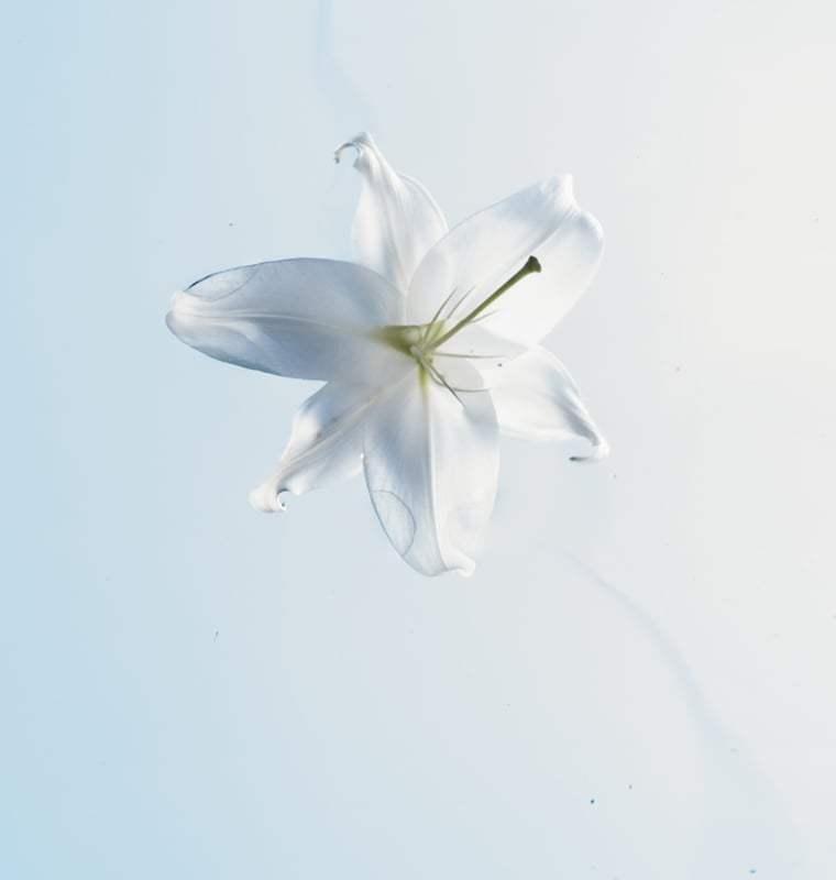 760x800x2