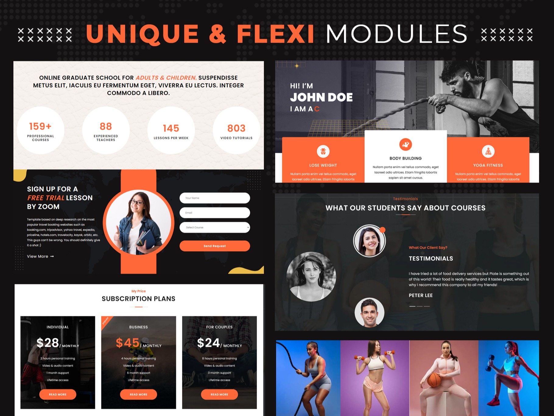 Online School Theme - Modules